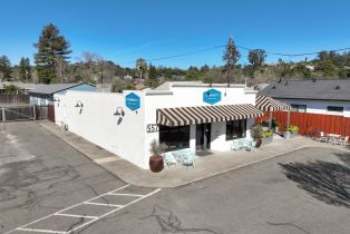 Single Family Residence, 557 Powell avenue, Healdsburg, CA 95448 - 67