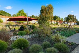 Single Family Residence, Maddocks road, Sebastopol, CA 95472 - 9