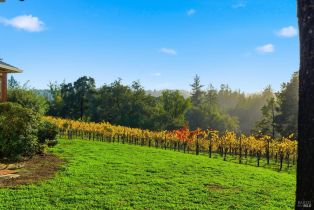 Single Family Residence, Maddocks road, Sebastopol, CA 95472 - 10