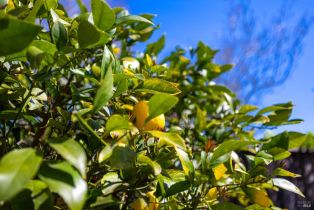 Condominium, Fountain Grove circle, Napa, CA 94558 - 18