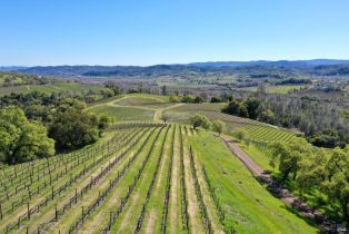 Single Family Residence, River road, Cloverdale, CA 95425 - 43