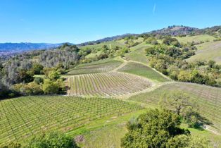 Single Family Residence, River road, Cloverdale, CA 95425 - 41