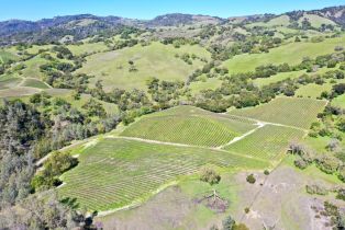 Single Family Residence, River road, Cloverdale, CA 95425 - 35