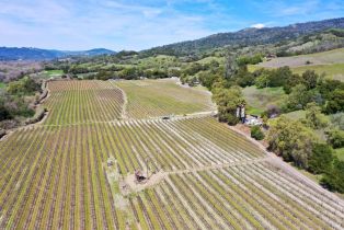 Single Family Residence, River road, Cloverdale, CA 95425 - 61