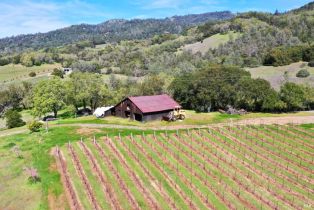 Single Family Residence, River road, Cloverdale, CA 95425 - 60