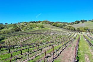 Single Family Residence, River road, Cloverdale, CA 95425 - 42