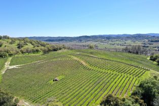 Single Family Residence, River road, Cloverdale, CA 95425 - 40