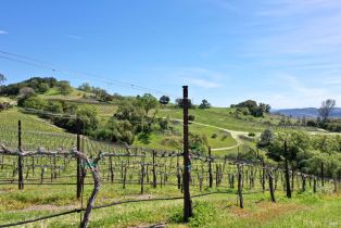 Single Family Residence, River road, Cloverdale, CA 95425 - 30