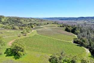 Single Family Residence, River road, Cloverdale, CA 95425 - 45