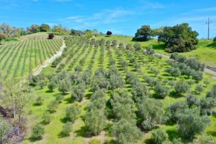 Single Family Residence, River road, Cloverdale, CA 95425 - 34