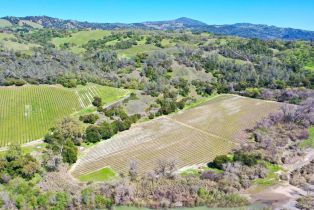 Single Family Residence, River road, Cloverdale, CA 95425 - 37