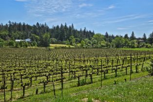 Single Family Residence, Summit Lake drive, Angwin, CA 94508 - 74