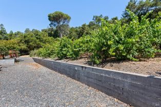 Single Family Residence, Dry Creek road, Healdsburg, CA 95448 - 47