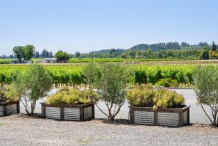 Single Family Residence, Dry Creek road, Healdsburg, CA 95448 - 15