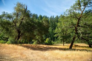 Single Family Residence, Wickersham Ranch road, Cloverdale, CA 95448 - 16