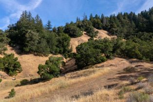 Single Family Residence, Wickersham Ranch road, Cloverdale, CA 95448 - 25