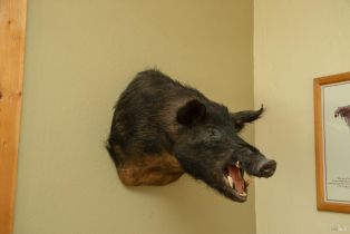 Single Family Residence, Wickersham Ranch road, Cloverdale, CA 95448 - 8