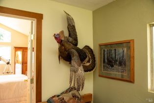 Single Family Residence, Wickersham Ranch road, Cloverdale, CA 95448 - 7