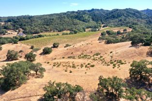 Single Family Residence, Dutcher Creek road, Cloverdale, CA 95425 - 45