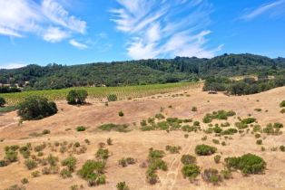 Single Family Residence, Dutcher Creek road, Cloverdale, CA 95425 - 46