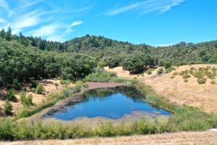 Single Family Residence, Dutcher Creek road, Cloverdale, CA 95425 - 6