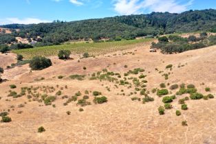 Single Family Residence, Dutcher Creek road, Cloverdale, CA 95425 - 15