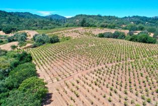 Single Family Residence, Dutcher Creek road, Cloverdale, CA 95425 - 41