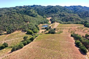 Single Family Residence, Dutcher Creek road, Cloverdale, CA 95425 - 55