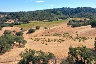 Single Family Residence, Dutcher Creek road, Cloverdale, CA 95425 - 47