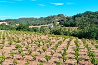 Single Family Residence, Dutcher Creek road, Cloverdale, CA 95425 - 62