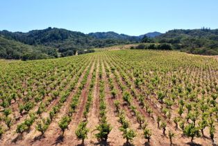 Single Family Residence, Dutcher Creek road, Cloverdale, CA 95425 - 51