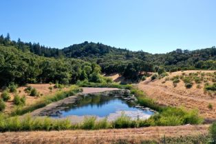 Single Family Residence, Dutcher Creek road, Cloverdale, CA 95425 - 63