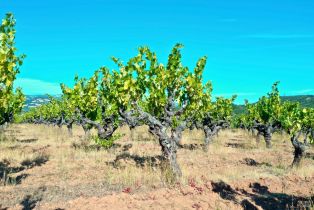 Single Family Residence, Dutcher Creek road, Cloverdale, CA 95425 - 69