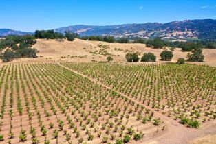 Single Family Residence, Dutcher Creek road, Cloverdale, CA 95425 - 40