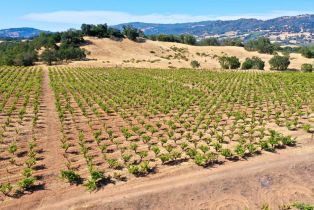 Single Family Residence, Dutcher Creek road, Cloverdale, CA 95425 - 61