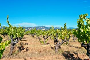 Single Family Residence, Dutcher Creek road, Cloverdale, CA 95425 - 68