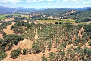 Single Family Residence, Dutcher Creek road, Cloverdale, CA 95425 - 25