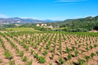 Single Family Residence, Dutcher Creek road, Cloverdale, CA 95425 - 64