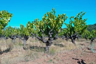 Single Family Residence, Dutcher Creek road, Cloverdale, CA 95425 - 71