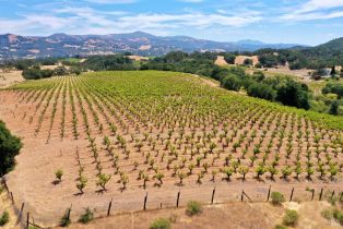 Single Family Residence, Dutcher Creek road, Cloverdale, CA 95425 - 17