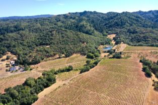 Single Family Residence, Dutcher Creek road, Cloverdale, CA 95425 - 42