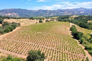 Single Family Residence, Dutcher Creek road, Cloverdale, CA 95425 - 8