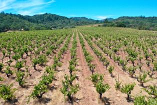 Single Family Residence, Dutcher Creek road, Cloverdale, CA 95425 - 38