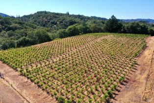 Single Family Residence, Dutcher Creek road, Cloverdale, CA 95425 - 57