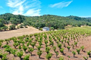 Single Family Residence, Dutcher Creek road, Cloverdale, CA 95425 - 26