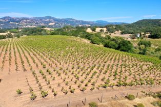 Single Family Residence, Dutcher Creek road, Cloverdale, CA 95425 - 56