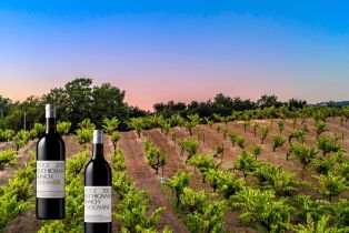 Single Family Residence, Dutcher Creek road, Cloverdale, CA 95425 - 5