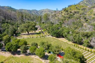 Single Family Residence, Dutch Henry Canyon road, Calistoga, CA 94515 - 35