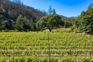 Single Family Residence, Dutch Henry Canyon road, Calistoga, CA 94515 - 36