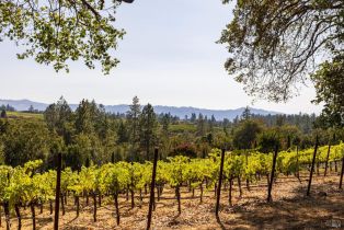 Single Family Residence, Brookside drive, Angwin, CA 94508 - 39